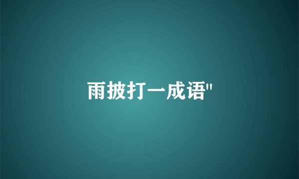 雨披打一成语