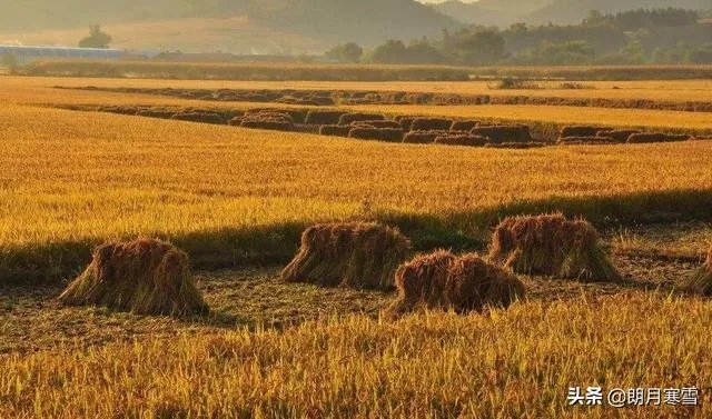 国内疫情基本要结束了,为什么有些人现在却开始抢购大米和房子?