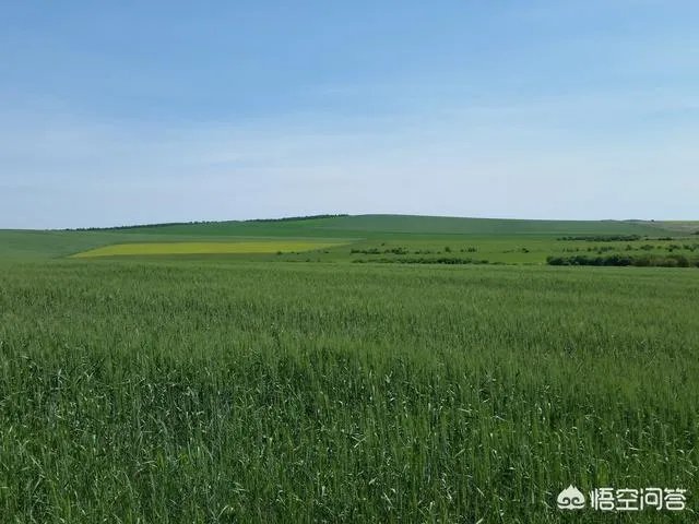 为什么呼伦贝尔只有两个月的旅游旺季,和别的月份有什么区别?