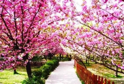 大连拍婚纱照外景哪里好 大连五大户外婚纱拍摄基地