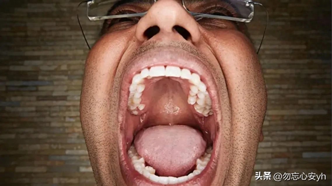 十大奇葩吉尼斯世界纪录，个个奇葩无比，最后一个更是匪夷所思 