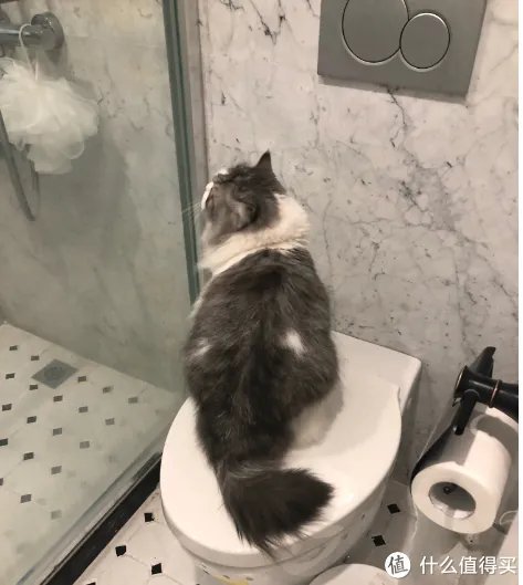 实测20件家居清洁用品！红黑榜单奉上，什么日本主妇都比不过我！