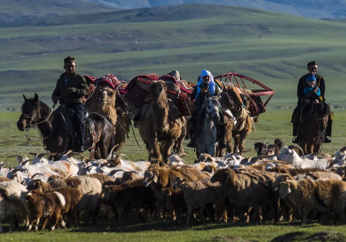 新疆全面恢复正常生产生活秩序后将会做出哪些安排？