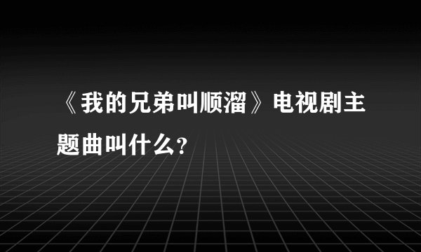 《我的兄弟叫顺溜》电视剧主题曲叫什么？