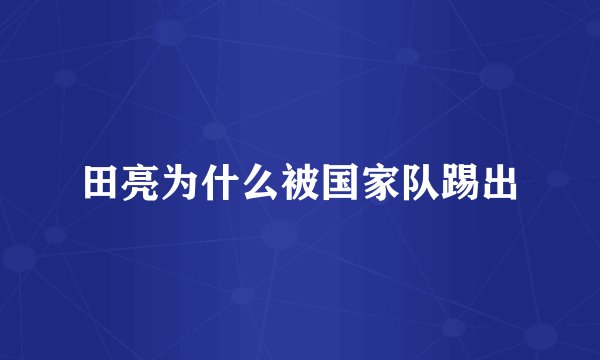 田亮为什么被国家队踢出