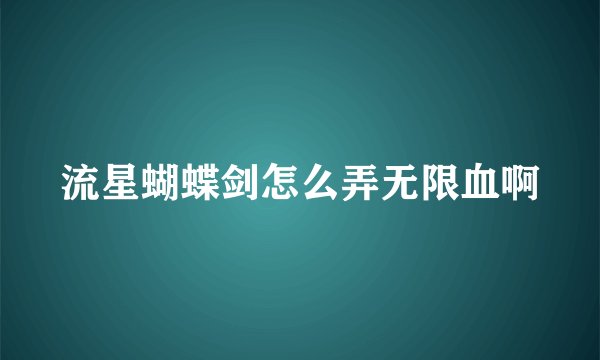 流星蝴蝶剑怎么弄无限血啊