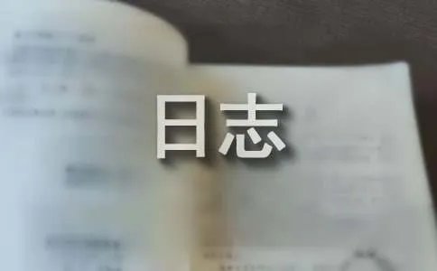 超感人日志