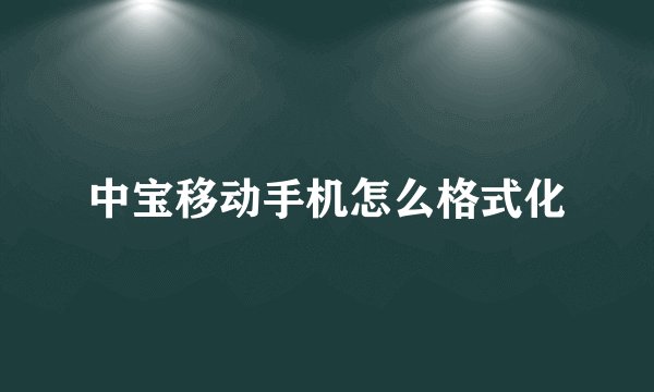 中宝移动手机怎么格式化
