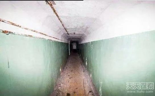 男子森林发现神秘工厂:里面东西令人震惊（图）