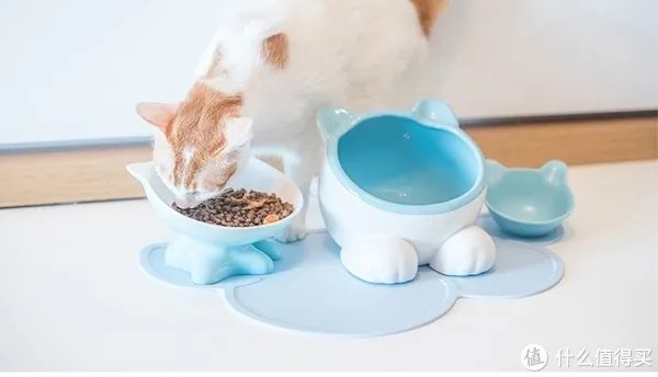 宠物碗怎么选择