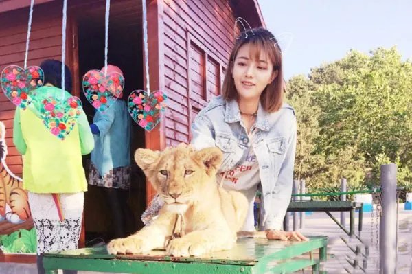 王梓芠的演员之路在经过这个“小三事件”之后是不是彻底断绝了？