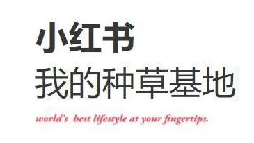 李艺彤说小红书真的害人，她为什么会这么说？