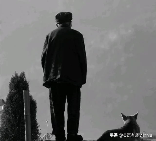 大连失火的地标留下黑色伤疤1800多人有家难归