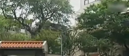 曝光：琼瑶阿姨5亿7层独栋庭院豪华别墅