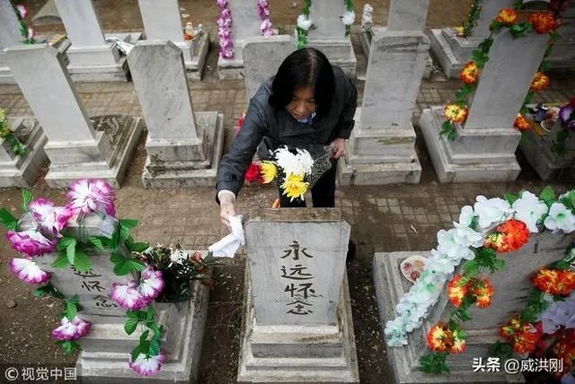 墓地太贵怎么解决？