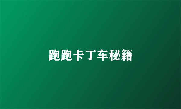 跑跑卡丁车秘籍