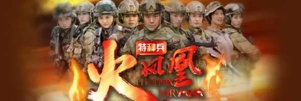 特种兵之火凤凰主要演的什么剧情?