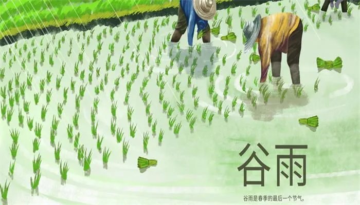 谷雨是什么意思  谷雨是什么