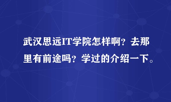 武汉思远IT学院怎样啊？去那里有前途吗？学过的介绍一下。