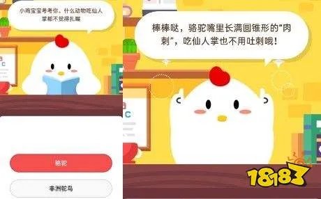 什么动物吃仙人掌都不觉得扎嘴?答案公布原因是什么