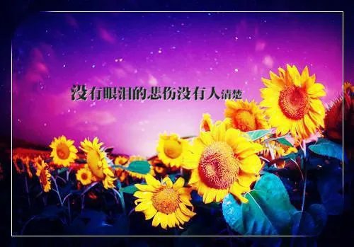 我人族守护者楚轩辕全文免费阅读(楚轩辕孙美曦)完结版by酒后老丈人