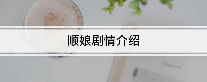 顺娘剧情介绍