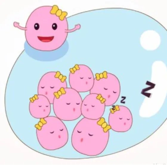 45岁试管移植成功经验日记-44岁做过3次试管婴儿，说说我的成功经验吧！