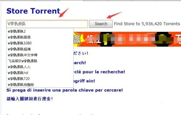 storetorrent官网