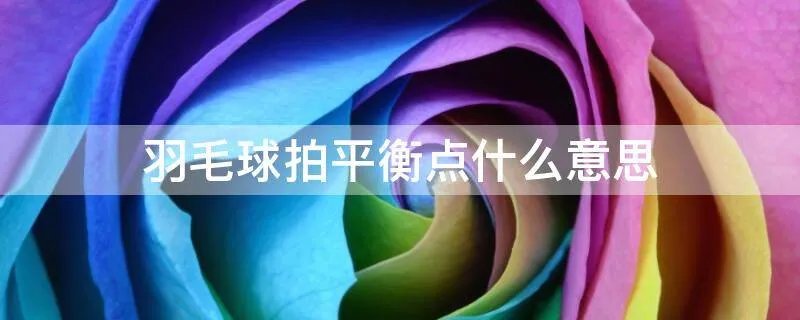 羽毛球拍平衡点什么意思