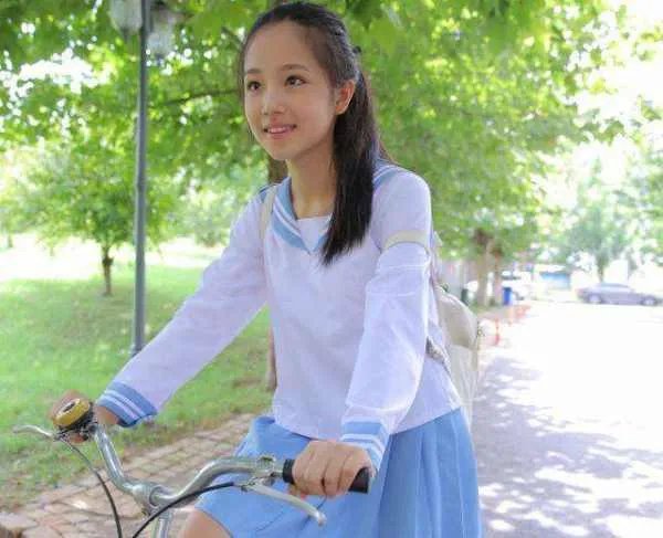 林心如诈捐门事件