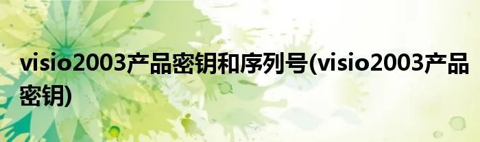 visio2003产品密钥和序列号(visio2003产品密钥)
