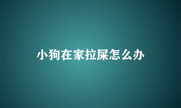 小狗在家拉屎怎么办