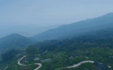 重庆缙云山的道观有哪些养生项目?是怎么收费的?