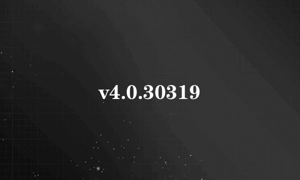 v4.0.30319
