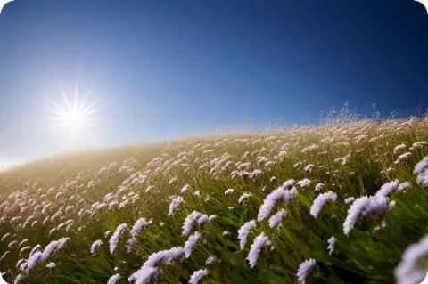 蒙面歌王的流浪者是谁?