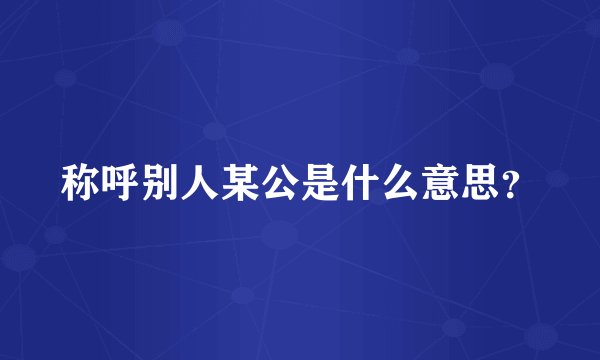 称呼别人某公是什么意思？