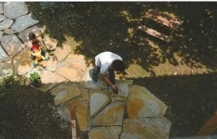 为儿子种出百草园原因是什么