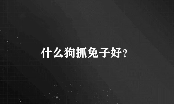 什么狗抓兔子好？