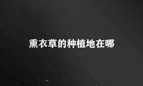 熏衣草的种植地在哪