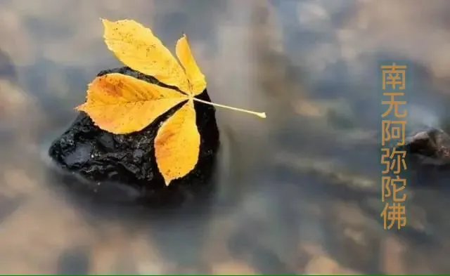 风风雨雨来时路，请对下联？