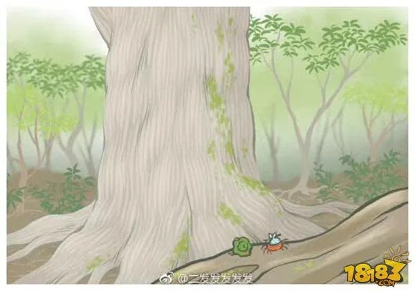 旅行青蛙图片明信片汇总 旅行青蛙相册大全