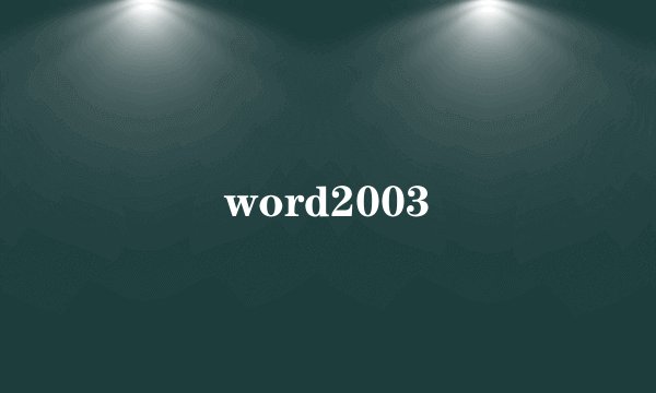 word2003