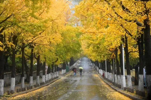 2020年立秋时间是啥时候?今年立秋是几点几分?