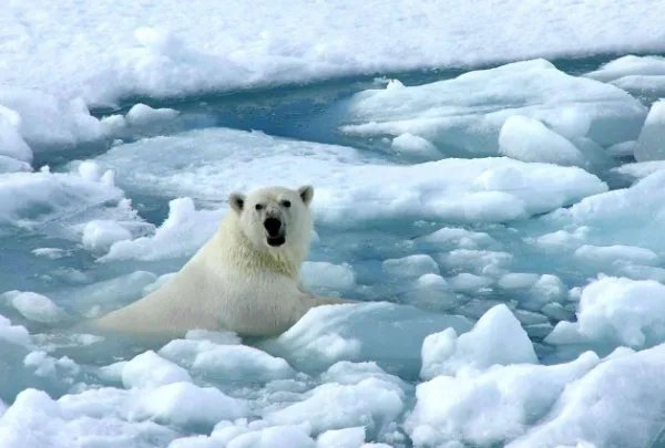中日韩遭遇强将暴雨袭击，韩国专家给出了怎样的答案？