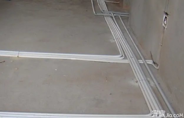 剧毒蓝环章鱼被当宠物卖?装修时千万别把危险留在身边