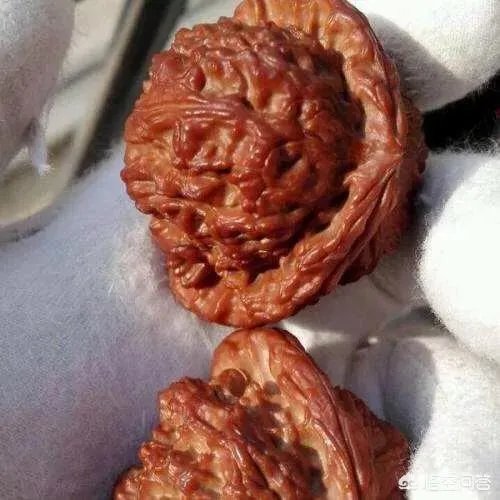 如何挑选文玩核桃？
