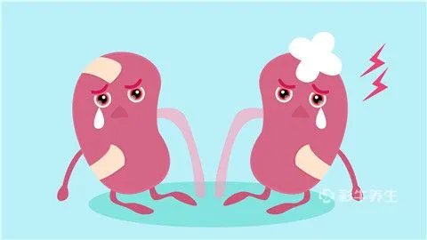 肾囊肿怎么引起