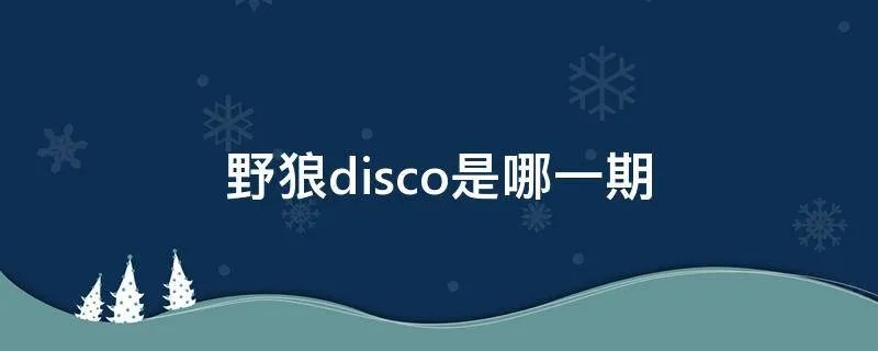 野狼disco是哪一期