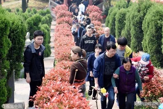 墓地太贵怎么解决？