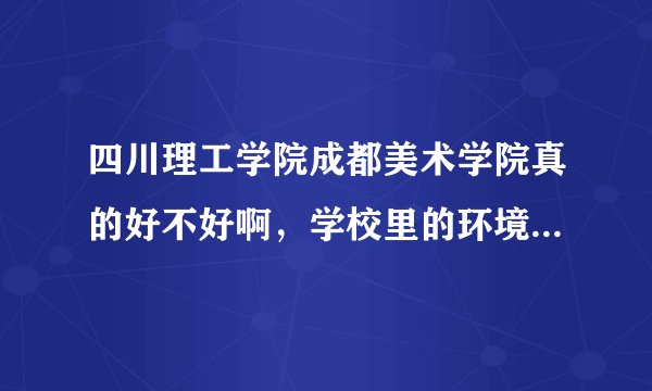 四川理工学院成都美术学院真的好不好啊,学校里的环境怎么样,,有些人说还是不错的,